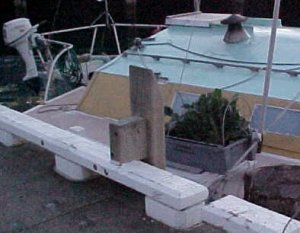 a vegie garden on a boat